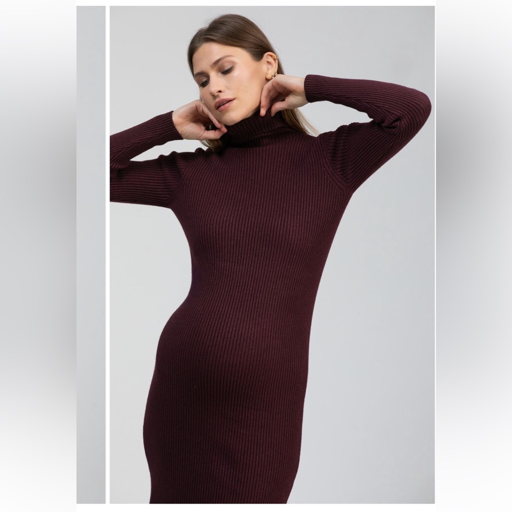 Pietro Brunelli Ribbed Turtleneck Bodycon Dress in Deep Bordeaux - Maternity